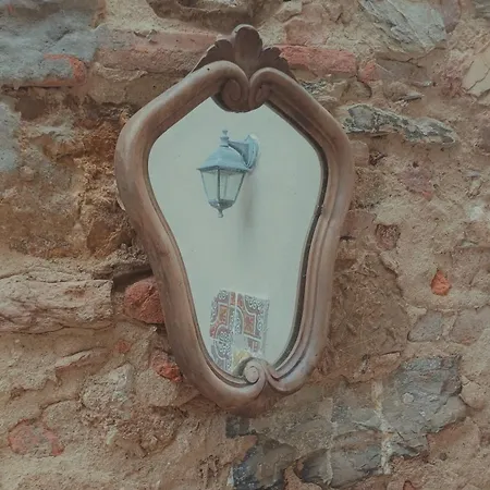 Il Chicchino E Il Lumachino